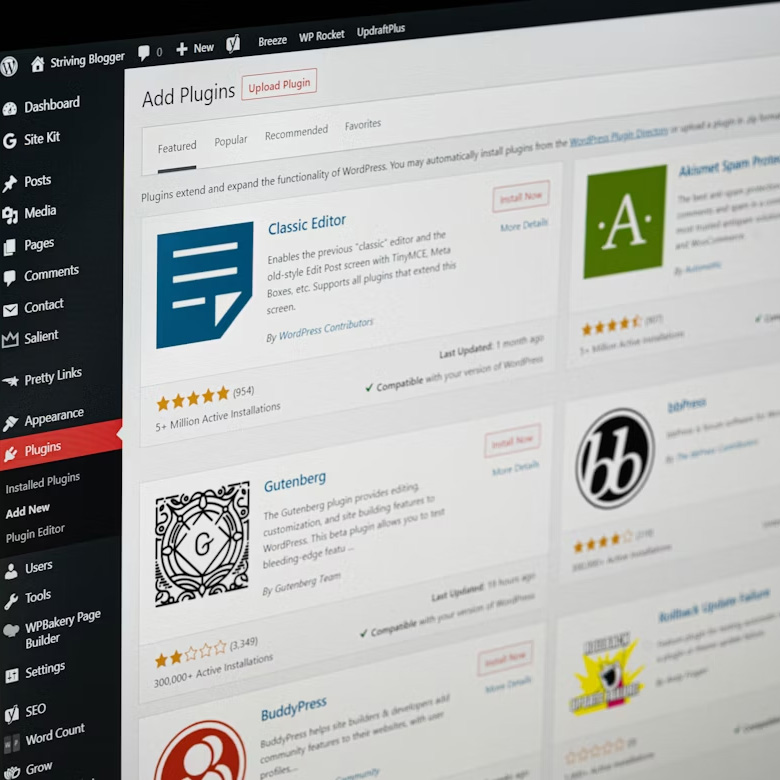 Wordpress Development